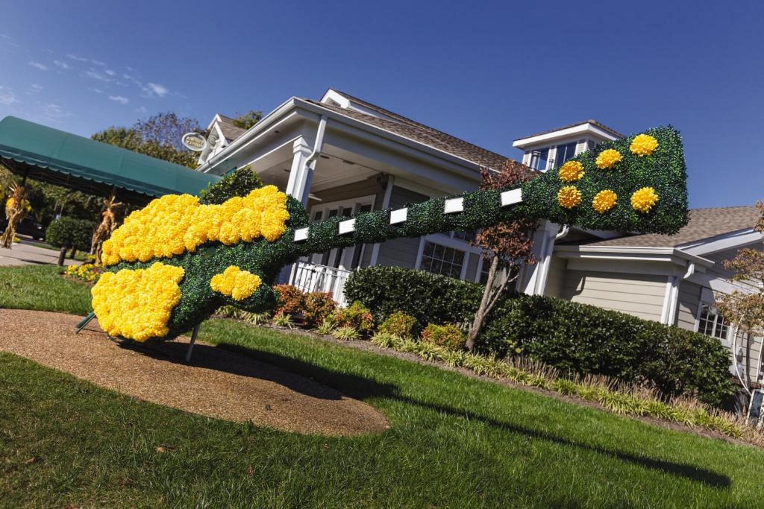 Club Wyndham Nashville Exterior foto